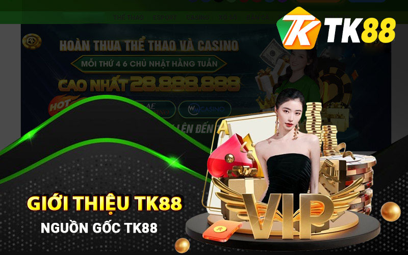 Giới thiệu nguồn gốc thương hiệu Tk88